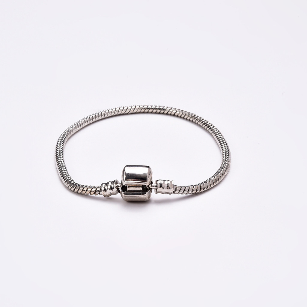 Pulseira de corrente de osso de cobra feminina masculina simples aço inoxidável titânio corrente básica pulseira All-Mat