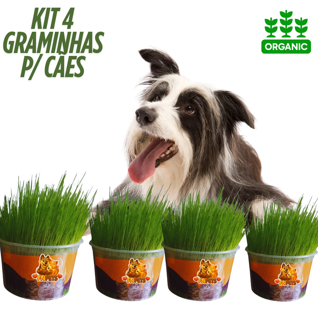 Graminha pet Digestiva Natural Orgânica para cachorros – auxilia na digesta e odores FN Pets Premium
