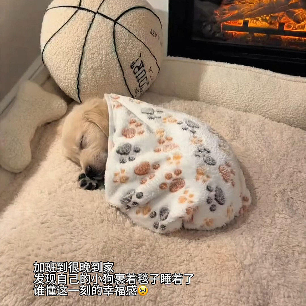 Cobertor para cachorro, cobertor para dormir para animais de estimação, prateleiras para gato, ar condicionado, colcha q