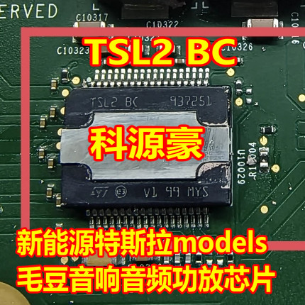 TSL2BC TSL2 BC Novos modelos Tesla de energia Edamame Amplificador de potência de áudio e áudio Chip IC