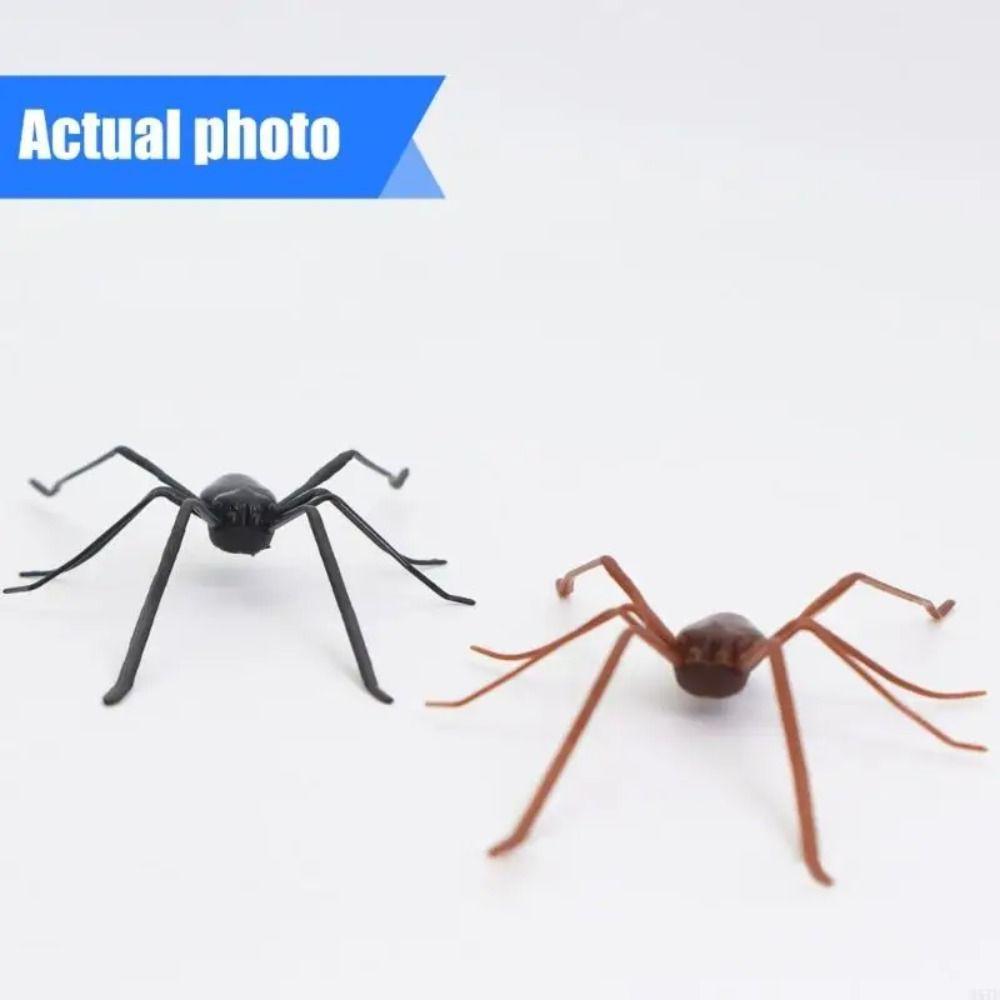 Decoração De Aranhas ZHDYEB , Brinquedo De Aranha De Simulação De Design 3D , Brinquedos Engraçados De Pegadinha Com Apa