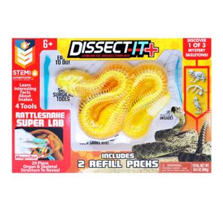Kit de Dissecação Dissect-It Super Lab - Cobra em Oferta na Shopee