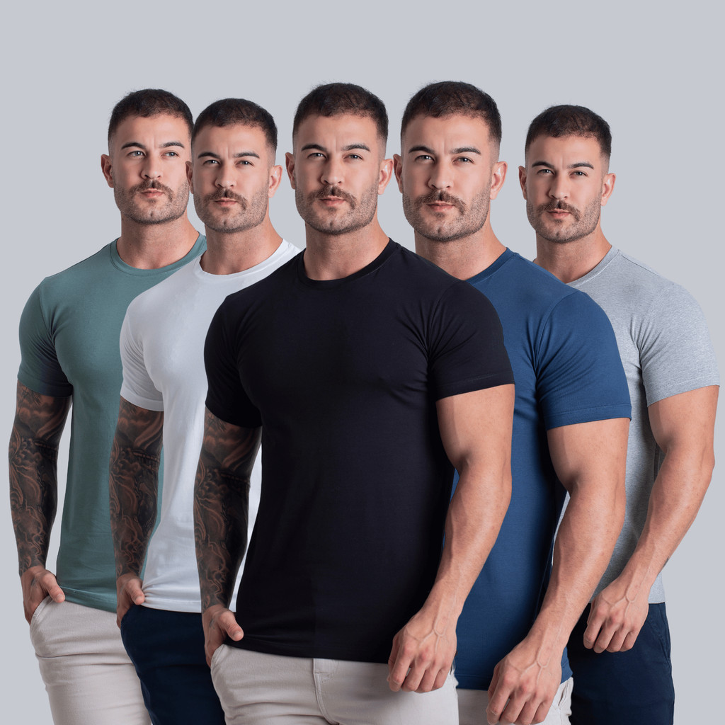 Kit 5 Camisetas Egipcias Masculinas 93% Elastano 7% Algodão Egipcio Premium