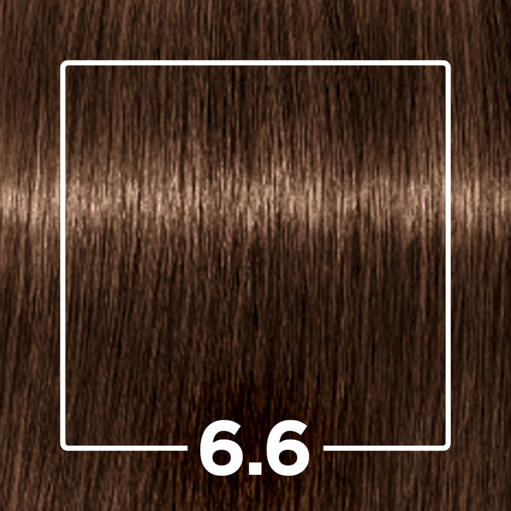 Tintura Profissional Igora Louro Escuro Chocolate 6.6
