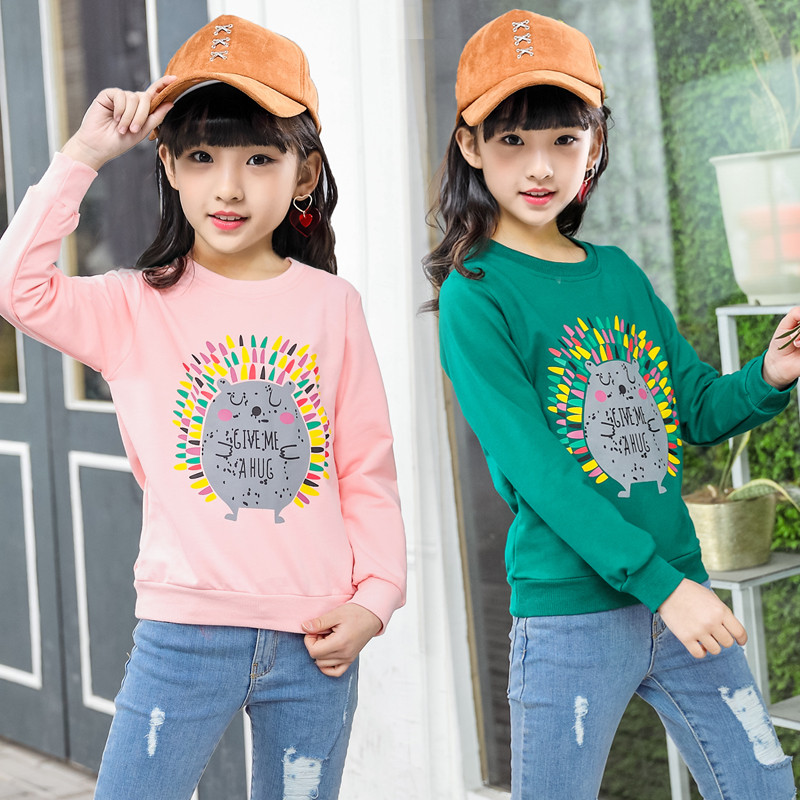 Meninas de manga comprida camiseta 2024 primavera novo estilo dos desenhos animados crianças versão coreana primavera ou