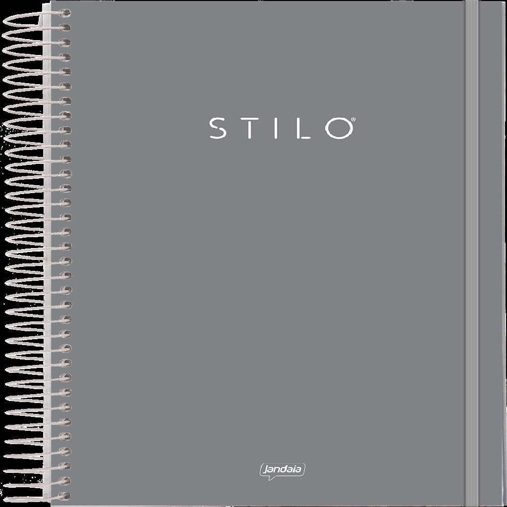 Caderno Universitário I.A 1 Matéria 80 Folhas Cinza Stilo – 1 Unidade