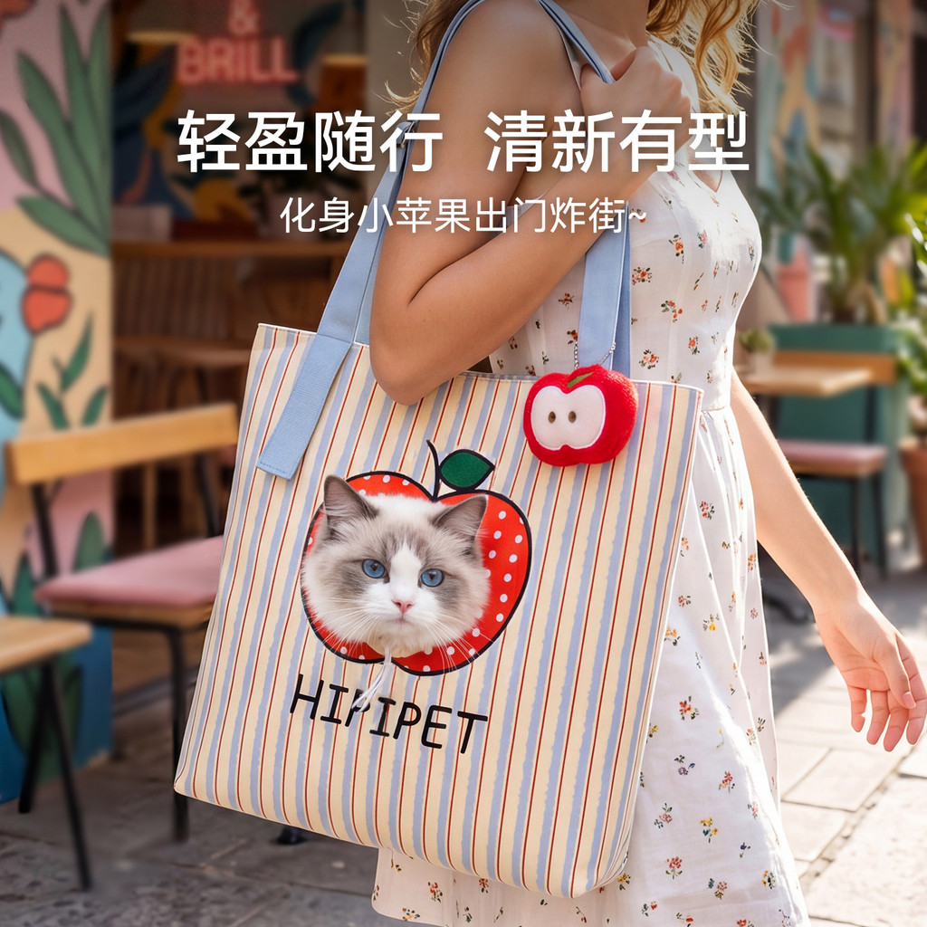 Bolsa Tote fofa para animais de estimação, bolsa Fashion para gatos, bolsa para animais de estimação, pode mostrar a cab