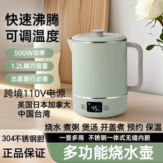 Chaleira elétrica portátil transfronteiriça 110V, chaleira elétrica para saúde, China, Taiwan, estados unidos, japão, ca