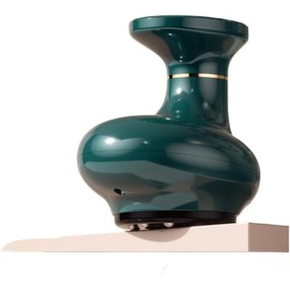 Massageador Elétrico Doméstico Branco, Massageador de Gordura Portátil, 10 Níveis de Intensidade, para Uso em Todo o Cor
