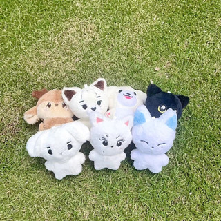 Personagem de desenho animado fofo do ídolo de Kpop Enhypen, brinquedo de pelúcia de 10cm