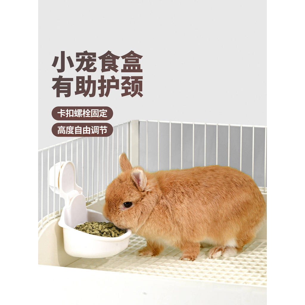Tigela pequena de comida para animais de estimação, alimentador de coelho para animais de estimação, cobaia, pendurável,