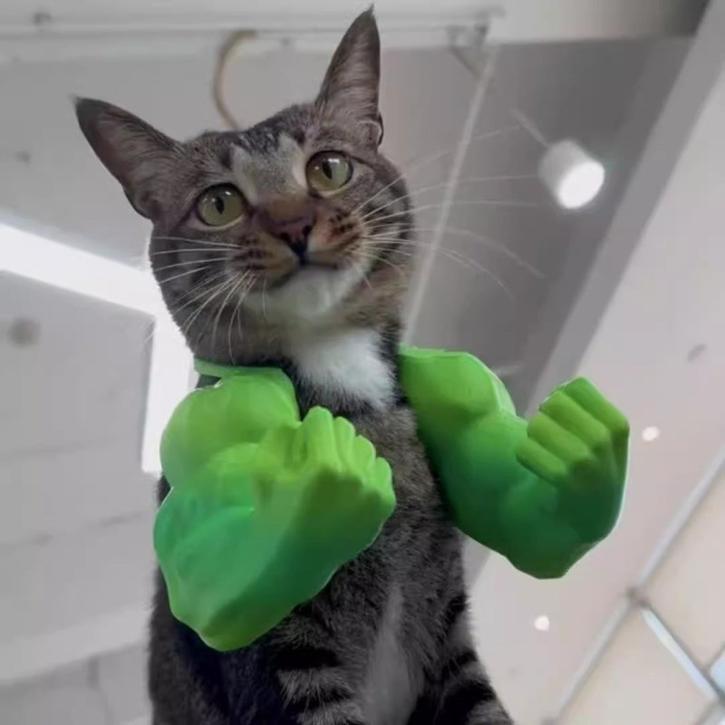 Brinquedo para Gato, Braço Muscular de Gato Super Viral, Brinquedo de Pegadinha para Pendurar no Pescoço, Brinquedo de I