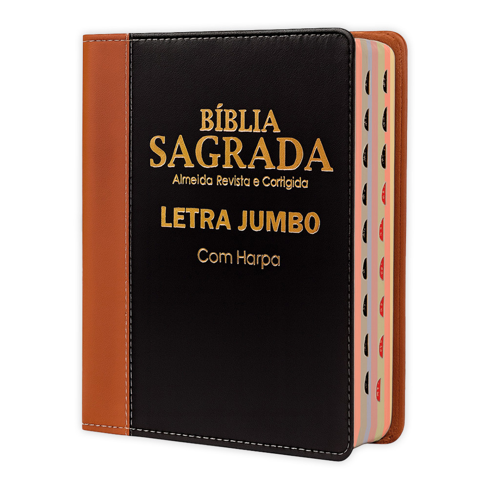 Bíblia Sagrada - Jumbo Luxo Bicolor | ARC - João Ferreira de Almeida - Harpa e Índice por Cores