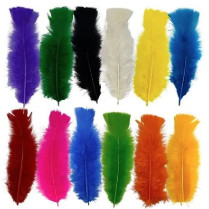 Pacote de 10 Penas Coloridas para Artesanato