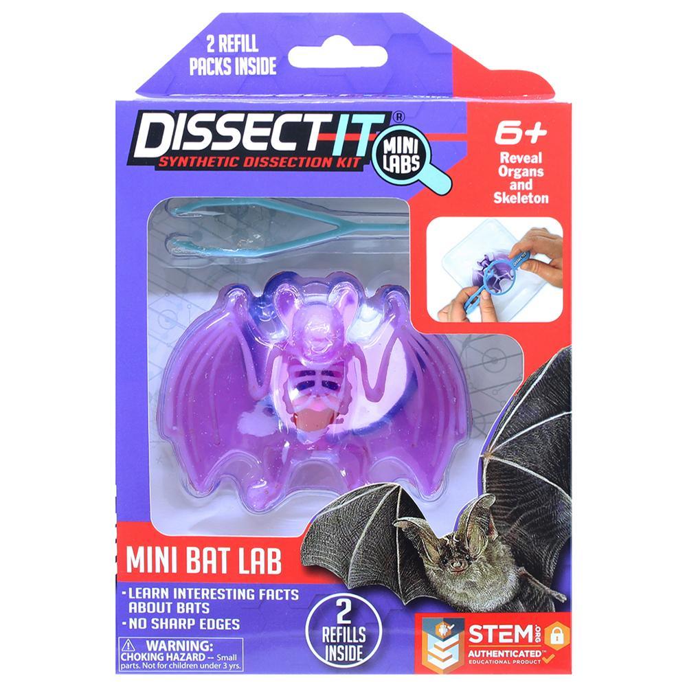 Kit de Dissecação Mini Lab Dissect-It - Morcego em Oferta na Shopee
