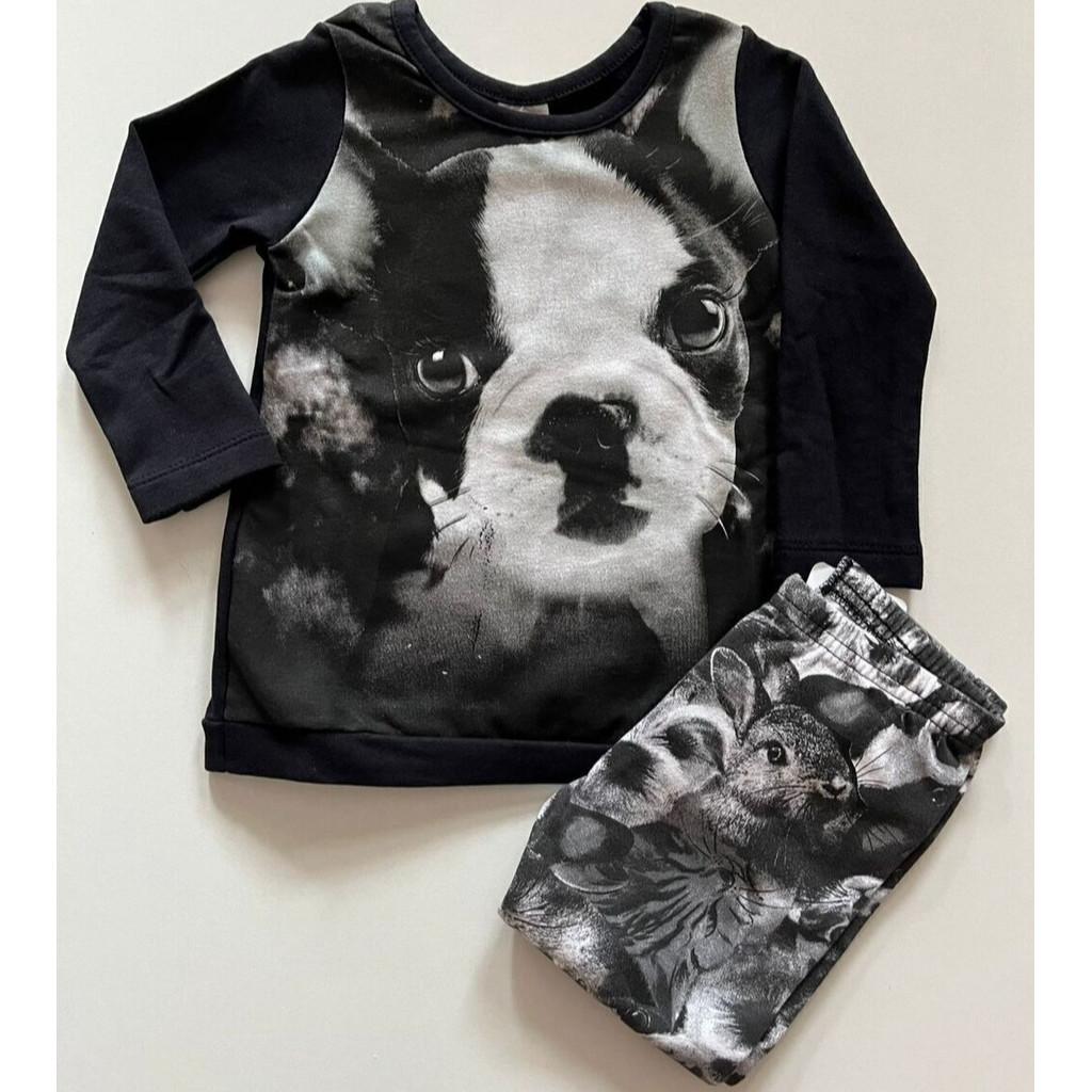 Conjunto de moletom flanelado menina infantil feminino estampa cachorrinho