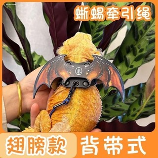 Lagarto conjunto dedicado trela juba leão deslizamento Gecko escalada pet Outing trela corda peito volta asas corda para