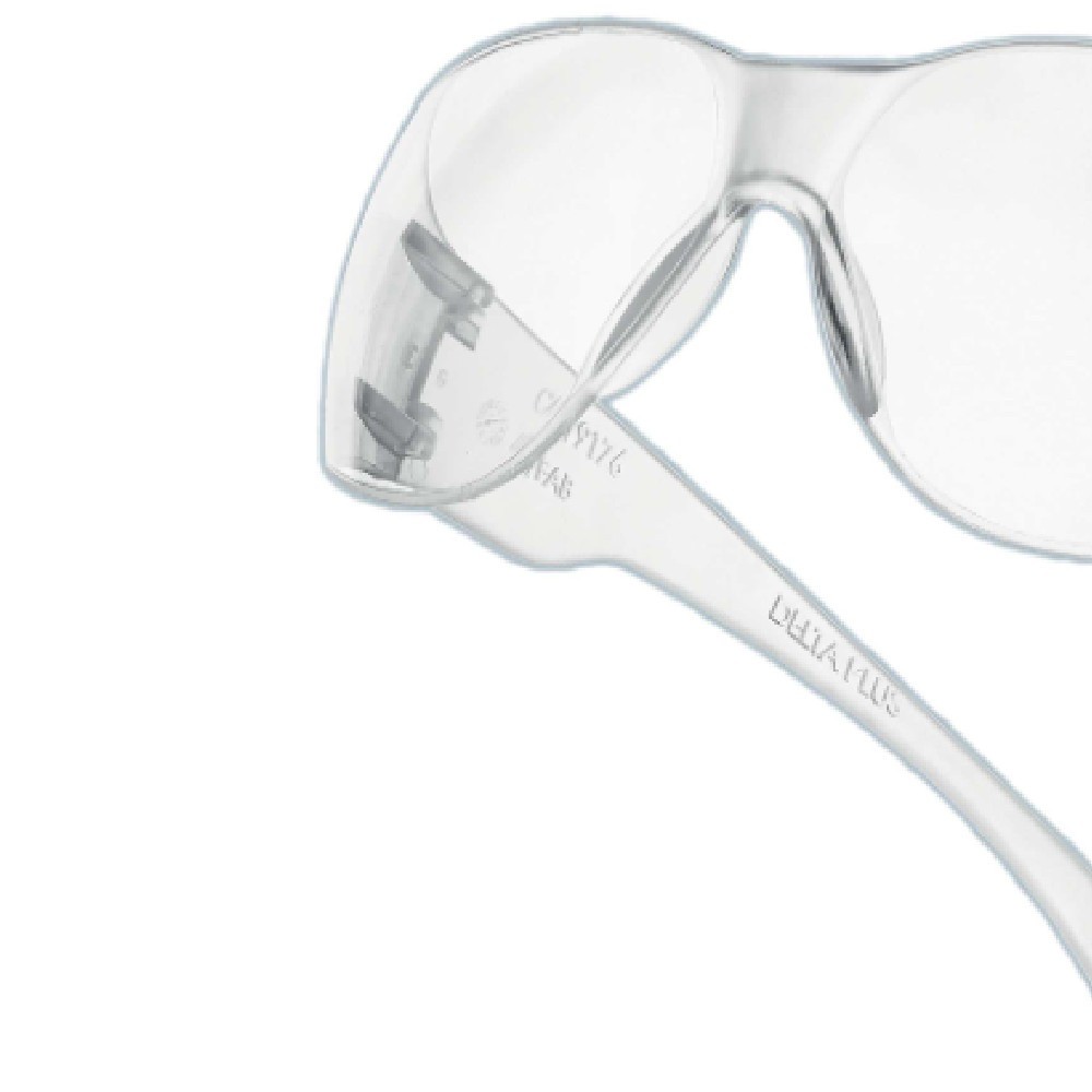 Óculos de segurança lentes curvas - SUMMER Delta Plus
