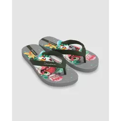 Chinelo Dedo Infantil Ipanema Patrulha Canina