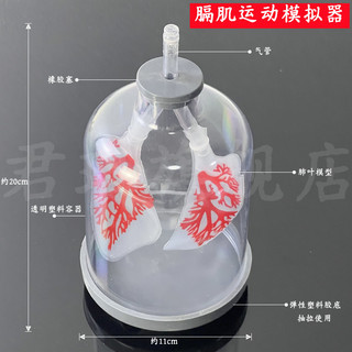 Simulador de exercícios musculares Junban Demonstrador de modelo de respiração pulmonar Bolha pulmonar Princípio de trab