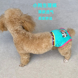 Cão de estimação calças menstruais feminino cão período menstrual roupa interior mãe Teddy pequeno cão verão fino calças