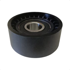 Polia Correia Alternador Renault Symbol 2009 a 2013 - 195815 - 4610