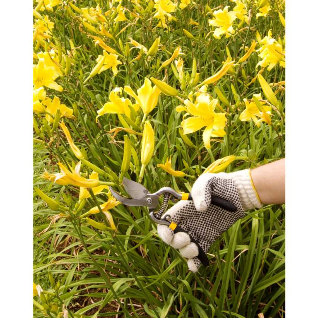 Tesoura de Poda Profissional para Árvores Flores Plantas com Bico Curvo Aço Forjado Vonder Original — imagem 2 de 2