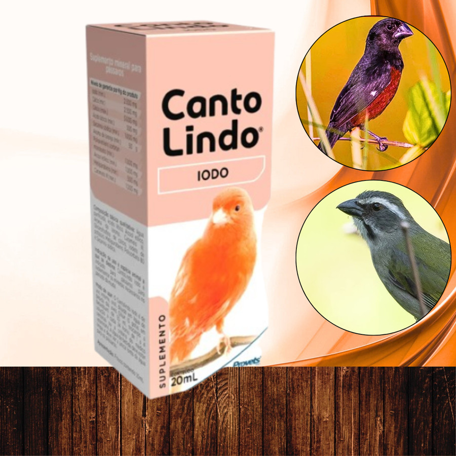 Canto Lindo Iodo: Onde Comprar | BuscaProdutos