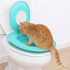 Caixa De Areia Para Gatos SUNDANCE , Treinador De Banheiro Removível De Plástico , Reutilizável Com Ventosa Higiene Anim