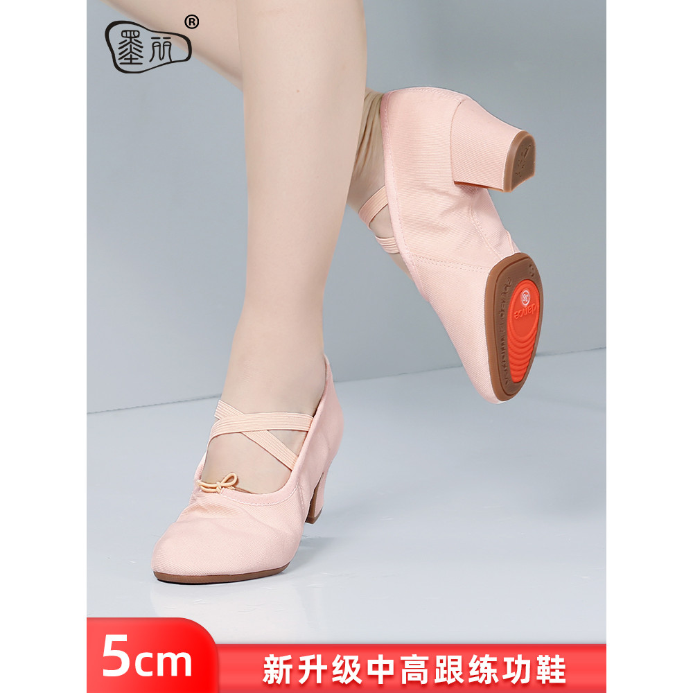 Sapatos de professor de dança desempenho sapatos femininos de sola macia sapatos de prática sapatos de dança Ballet danç