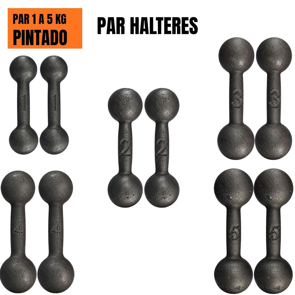 Halter Bola Pintado 1 a 5 kg PAR Fisioterapia Musculação Academia CrossFit Treino Funcional Fitness Peso Livre Exercício