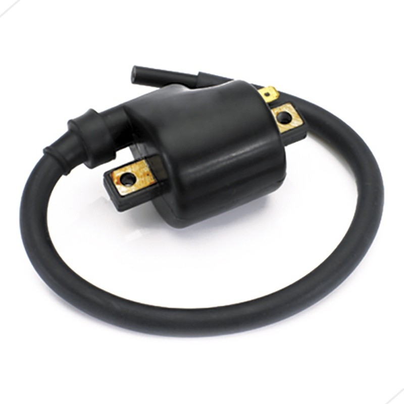 Bobina de Ignição Biz 100 - Gm12008 GGM12008