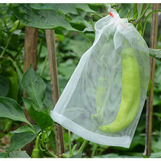 [Evite Pássaros e Insetos] From Plant Breeding to Pest Control Nylon Mesh Bags Have You Covered/Saco de Nylon/Saco de Re