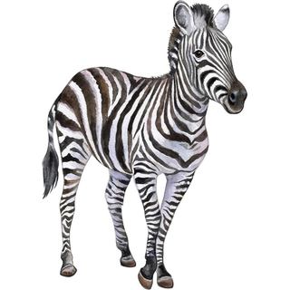 Adesivos de Parede Zebra de 27" - Descole e Cole, Adesivos de Parede Zebra Grandes, Decoração para Quarto de Bebê, Quart