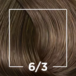 Tintura Creme Color Perfect Louro Escuro Dourado 6/3