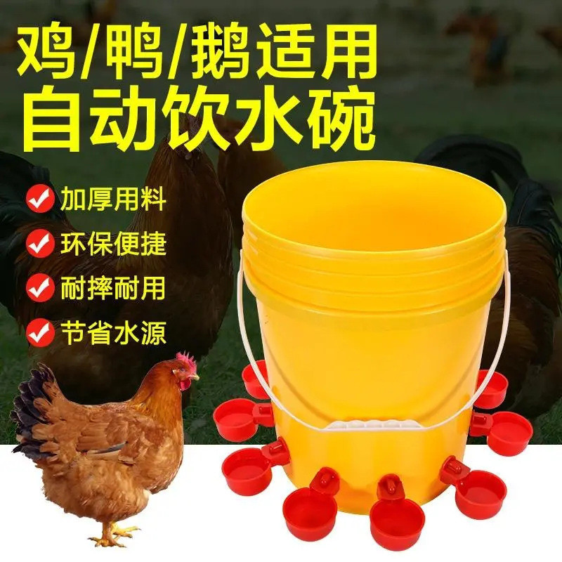 Alimentador automático de água Bebedouro para pombos Tigela de água potável Alimentação de frango Criação automática de 