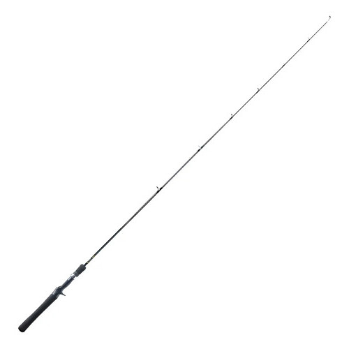 Vara Pesca Carretilha Marine Sports Evolution G3 1,60m Carbono 15-30lb Ação Média Rápida 9 Guias FUJI Água Doce