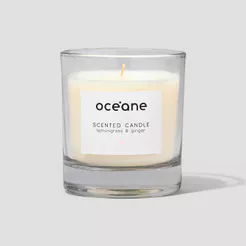 Vela Aromatizada de Capim Limão e Gengibre - Scented Candle 180g