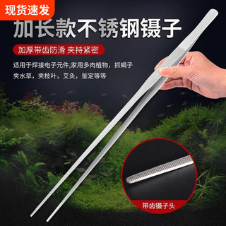 Pinça Super longa de aço inoxidável, alongada, espessada, clipe de extrato, alimentação, tartaruga, suculenta, jardinage
