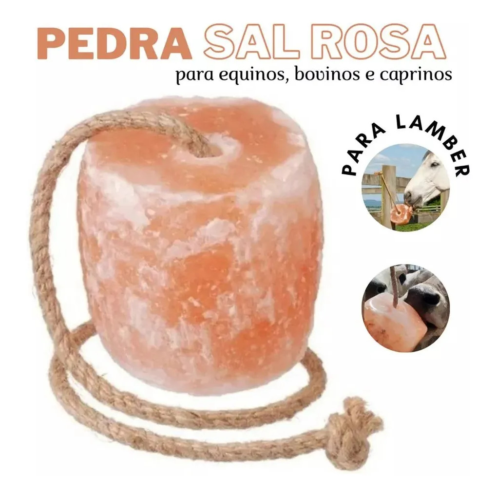 SAL DO HIMALAIA BLOCO PARA EQUINOS 2,9KG - ENTREGA IMEDIATA em Oferta na Shopee