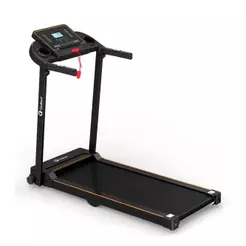 Esteira Ergométrica Elétrica Gallant Trainer 1,9hp 10Km/h 100Kg 127V (GEE10)