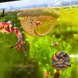 Área de descanso para peixes, acessórios para aquários, área de descanso flutuante para peixes, WEBM
