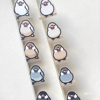 Bonito papagaio pássaro índice adesivo bonito manual de alto valor diy adesivo decorativo presente do estudante para ami