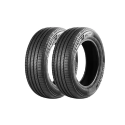 Kit 2 Pneus Delinte Aro 16 205/65 R16 95V DS2