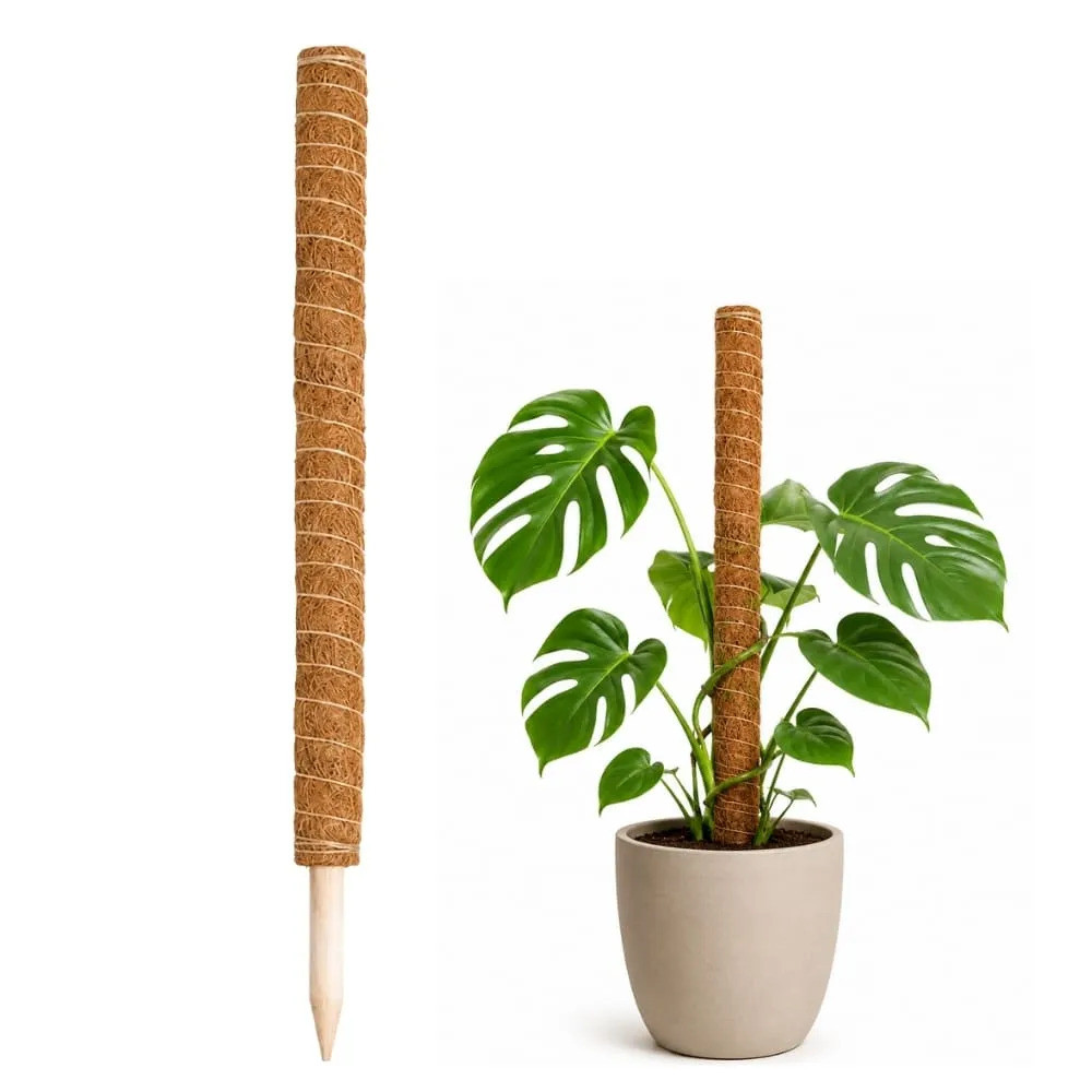Tutor Estaca de Fibra de Coco Para Plantas 80cm