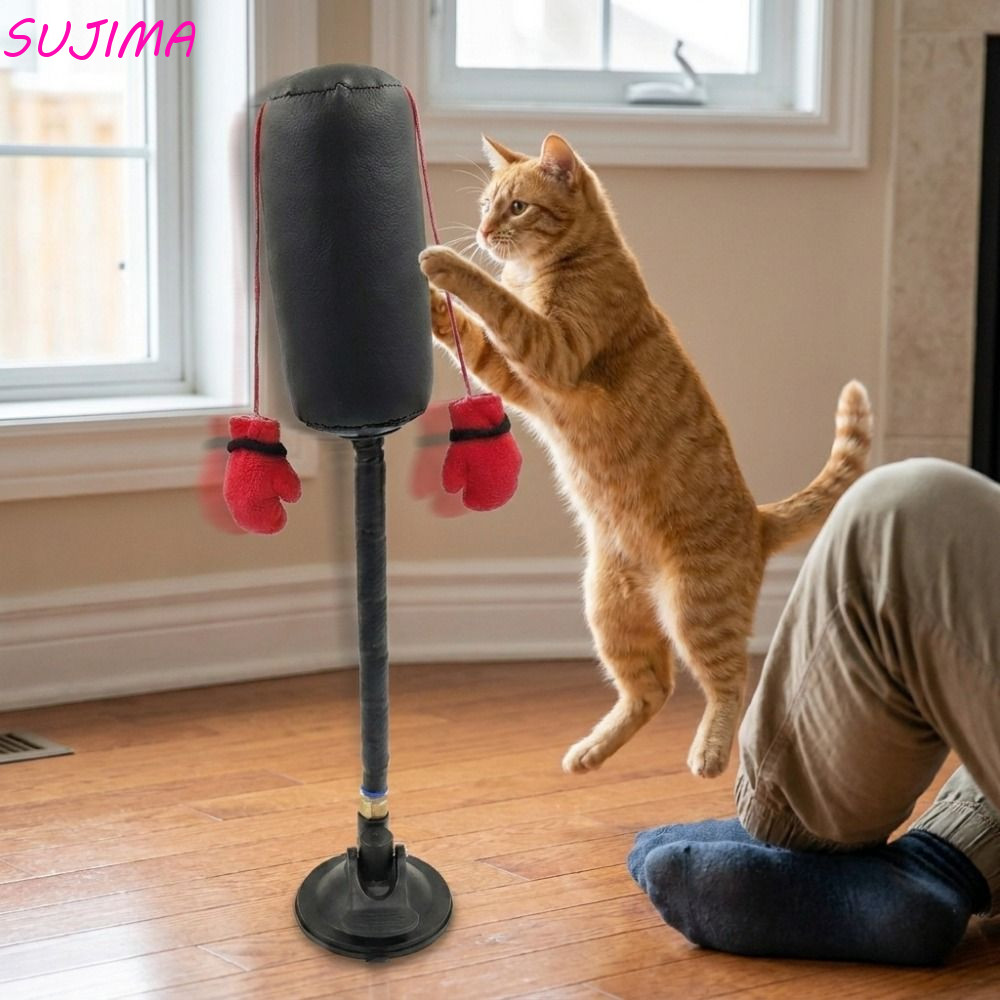 Brinquedo De Boxe Para Gatos SUJIMA , Saco De Pancadas Animais De Estimação Com Ventosa , Jogo Resistente À Mordida