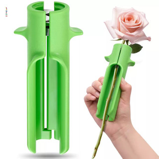 Removedor de espinhos de rosa Removedor de espinhos de rosa