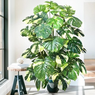 18/24 Folhas Costela De Adão Artificial Buquê 75 Cm Verde Natural Planta Artificial em Oferta na Shopee