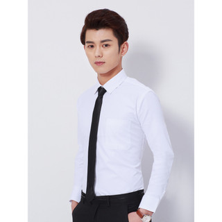 Cor adicional camisa profissional masculina de manga comprida primavera outono negócios camisa branca profissional Wear 