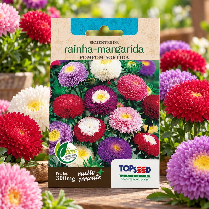 Sementes Margarida Raínha PomPom Sortida